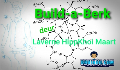 Build-a-Berk - Laverne bou haarself &#039;n outjie
